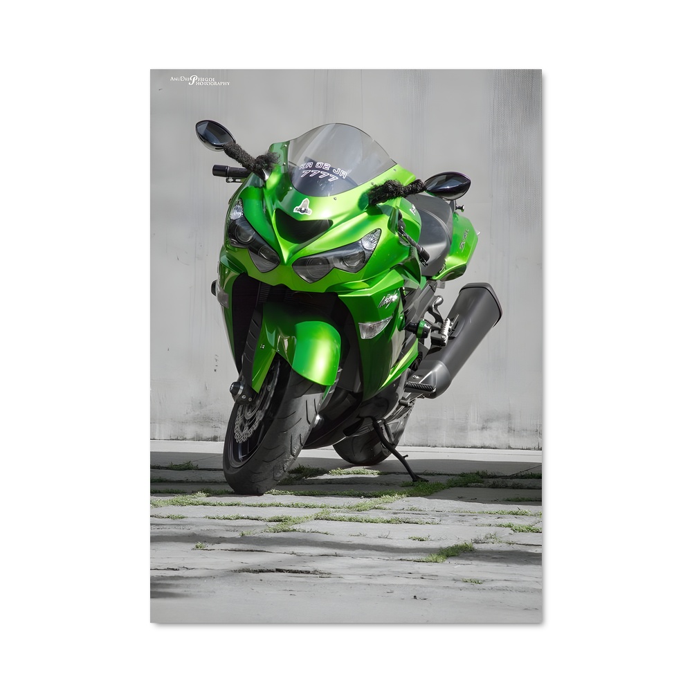 Poster Ninja Vert